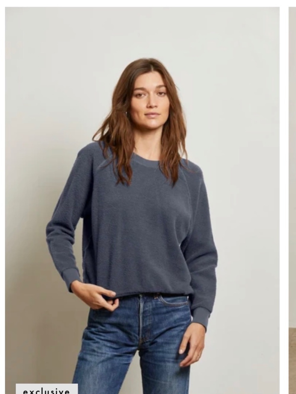 Ziggy Reverse Fleece Crewneck Sweatshirt